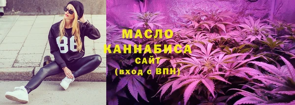 индика Дмитровск