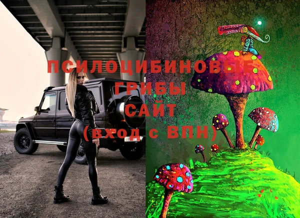 героин Данков