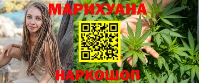 сатива Бийск