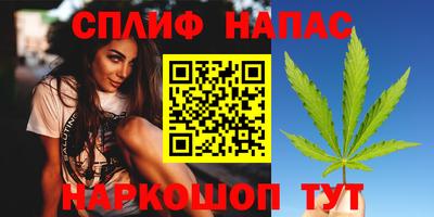 сатива Бийск
