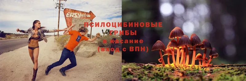 Галлюциногенные грибы Magic Shrooms  Луховицы 