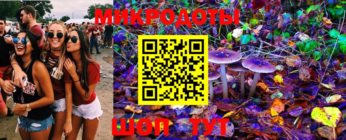 Псилоцибиновые грибы Psilocybe Луховицы