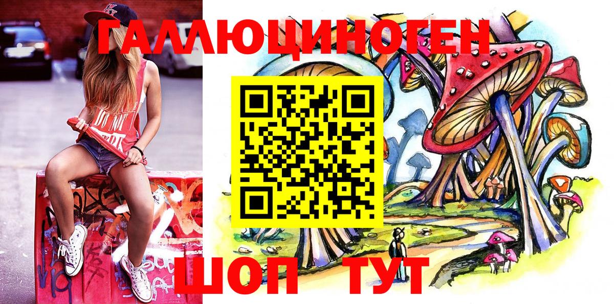 Галлюциногенные грибы Psilocybine cubensis  Луховицы  закладка  Псилоцибиновые грибы Cubensis 